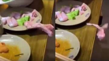 Twitterati shocked after video of Zombie chicken meat jumping from plate goes viral
