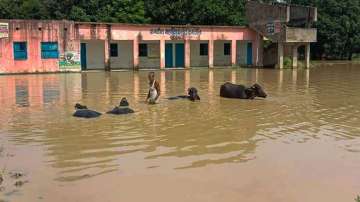 In Samastipur, according to reports, a piece of road leading to Darbhanga was swept away by the deluge.