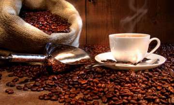 Nepal thrives for commercial coffee production to meet demands (Representational image)