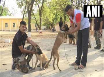 MP government transfers police dog and handlers, BJP takes a dig!
