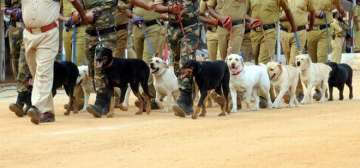 According to the state government order, handlers of tracker, sniffer and narco dogs from 23 Battalion Dog Squad were given new postings in different districts of the state and were ordered to rejoin immediately along with their dogs.