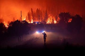 Video catches 1800 firefighters battle massive wildfire in Portugal | Watch