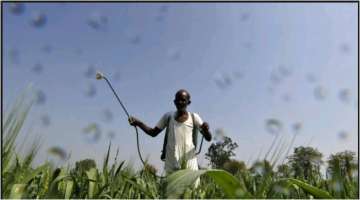 National Fertilizers Ltd (NFL) said it has entered into North-Eastern states after making a successf