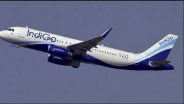 IndiGo stocks nosedive 17 per cent after co-promoter Gangwal raises serious questions over governanc