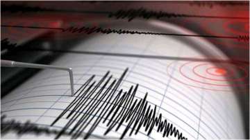 A 7.2- magnitude earthquake shook the North Maluku province in Indonesia (Representational image)