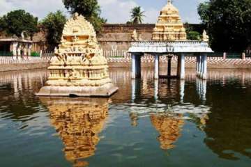 Lord Athithi Varadar rare darshan begins from today in Kanchipuram