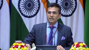 Pak downgrading ties attempt to present alarming picture to world, Article 370 India's internal affair: MEA