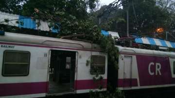 Tree branches fall on stationary local, services briefly hit