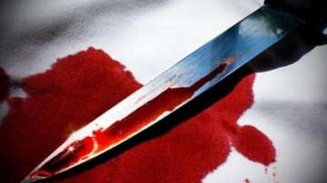 driver stabbed to death