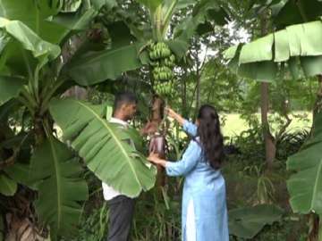 Gujarat couple quits US job, embarks career in farming