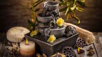 Vastu Tips for Water Decorative Items: Keep water fountains in this direction at home