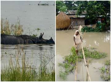 Assam floods: PM Modi takes stock as ground situation worsens, Kaziranga National Park submerged