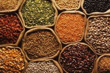 Wholesale prices of pulses