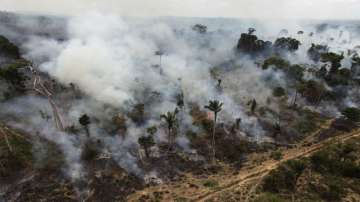 Amazon Rainforest is burning