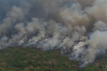 Brazil President sends army to tackle Amazon fires