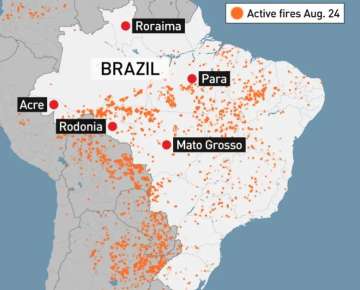 Watch areal view of destruction caused by fires as Amazon rainforest burns at record rate | Video