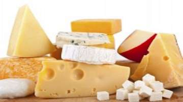 Safety audit for dairy products 