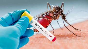 Death toll in Bangladesh dengue outbreak hits 40
?