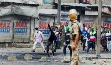 Local truck driver killed in stone pelting in south Kashmir