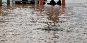 Over 16,000 evacuated in 22 days as SSD backwaters rise in Madhya Pradesh