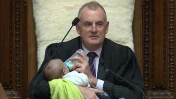 New Zealand, babysitting, parliament