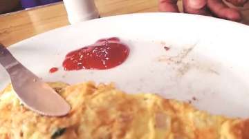  Passenger finds worms in Omelette aboard Deccan Queen, files complaint to IRCTC