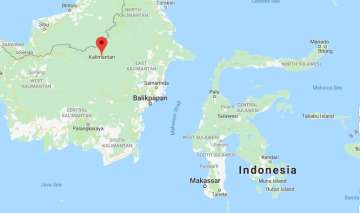 Indonesia's new capital will be in sparsely populated East Kalimantan province on Borneo island.