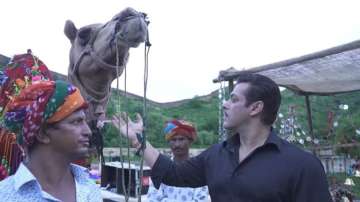 Latest Salman Khan News fondles camel as he shares glimpse of Dabangg movie 3 Salman Khan is current