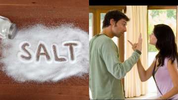 Vastu Latest Tips News : After throwing light at how salt plays a crucial role in maintaining a posi