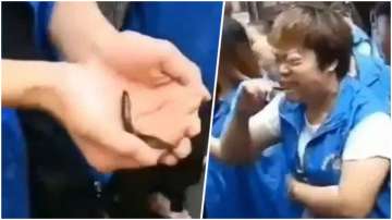 Chinese shop owners made to eat live fish for not meeting sales target, watch shocking video
