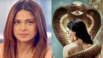 Beyhadh 2: Will Jennifer Winget be replaced by THIS Naagin 3 actress in the sequel? See deets