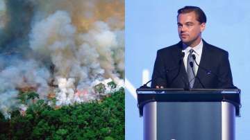 Leonardo DiCaprio's Earth alliance fund to donate USD 5 million in aid amid Amazon fires