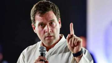 Government abused executive powers to tear apart J&K: Rahul Gandhi