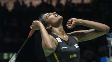 PV Sindhu's Korean coach hails her 'perfect' performance in World Championship final