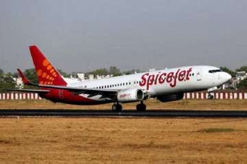 Spicejet crew falls down during push-back in Mangaluru airport