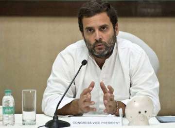 Early compensation and speedy rehabilitation needed: Rahul in Wayanad