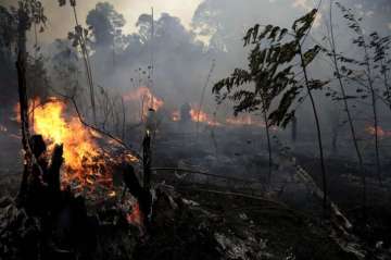 Amazon fire: 7 nations sign forest protection pact