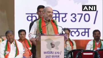 Congratulate PM Modi's bravery, grit on Kashmir: Amit Shah 