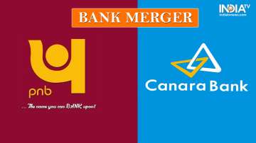 Here's how India's bank merger will impact you