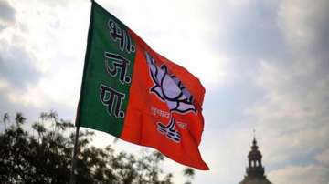 BJP MPs replace Cong leaders as heads of 2 parliamentary panels