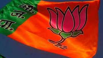 NCP's Maha poll candidate, VBA leader & Cong MLA join BJP