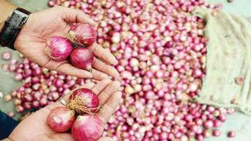 Govt prohibits export of onions with immediate effect