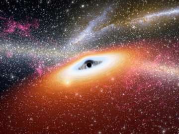 Blackhole shreds star as huge as Sun