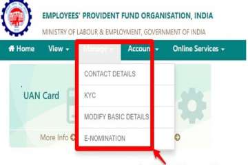 Provident Fund alert! EPFO launches e-nomination facility for employees' PF account. Know how file