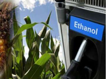 Cabinet hikes ethanol procurement price for fuel blending, rates effective from December