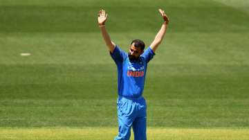 mohammed shami