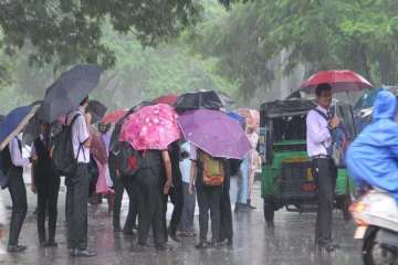 Light rains over next 3-4 days to keep Delhi's humidity, pollution levels in check