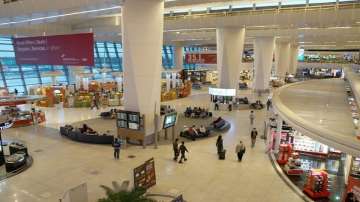 British man among two held at IGI airport for using fake ticket for entry