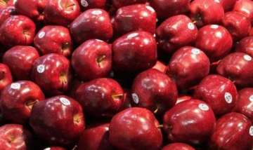 Broke Kashmiri students 'sell' apples in Maharashtra