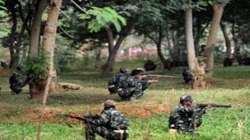 Five Maoists killed in Andhra Pradesh gunfight